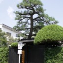 旧家