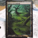 【拡張アート】 溢れかえる果樹園/Flooded Grove