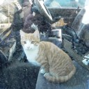 さよなら兄者　“優しいお髭のおじさんと猫”　の巻