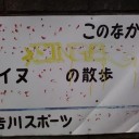 しろ…と？