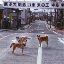 4月15日の日記