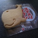 火曜〓戦場と癒しと〓
