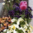 春、ですね＾＾