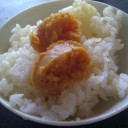 水曜〓テキストと自転車と〓
