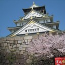 桜旅　 1日目　大阪編