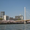 桜旅　 1日目　大阪編