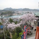桜旅　2日目　尾道編