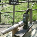 公園に行ってきました。