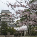 桜旅　2日目　お城＋α編