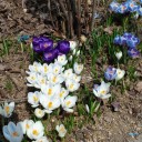 2012年4月20日（金）