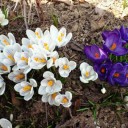 2012年4月20日（金）