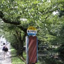 木陰のバス停