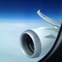JALの787