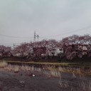 県大会の日はとても寒い一日だったが