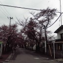 県大会の日はとても寒い一日だったが