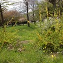 昼休みの公園から