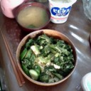 のらぼうとキャベツ。