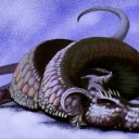 甲鱗のワーム