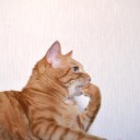 4月27日の日記