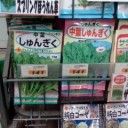 夜の散歩。