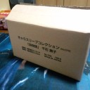 今日の収穫物