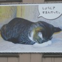 大反省
