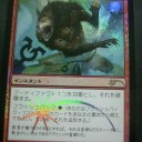 ５月の大会予定とFNMプロモ