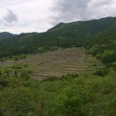 金曜〓無線と棚田と〓