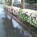 5月4日の日記