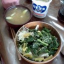 コドモノヒ。