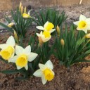2012年5月2日（水）