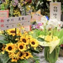[観劇] 舞台版「銀河英雄伝説」同盟編