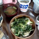 連休ラスト。