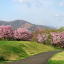 真駒内公園