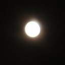 つきのこと。