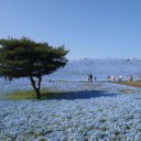 GWおぼえがき〜