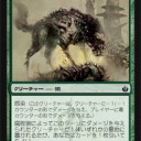 野生の抵抗