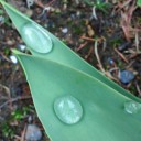 2012年5月7日（月）