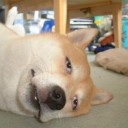 『マイマスターに訊いた所・・・・・どうやら【予め表示さえあれば、課金なんてしなかった！ガチャなんてしなかった！】と強く訴えれば、課金額って不当利得返還請求で取り戻せるみたいよｗ』の巻