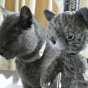 空吉をかわいく調教してみるテスト　“正しい散財のすすめ”　の巻