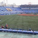 【プロ野球】神宮参戦_2012年7回目。