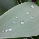 2012年5月15日（火）