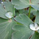 2012年5月16日（水）