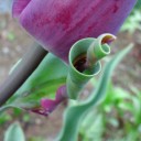 2012年5月16日（水）