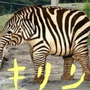 5月18日の日記