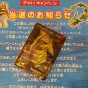 げっとん(^0^)/