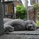 白紙みたいな日記帳　“それでも地球は床屋の看板”　の巻