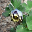 2012年5月19日（土）