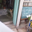 純喫茶の看板っこ