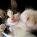 さんびゃくおく・・・